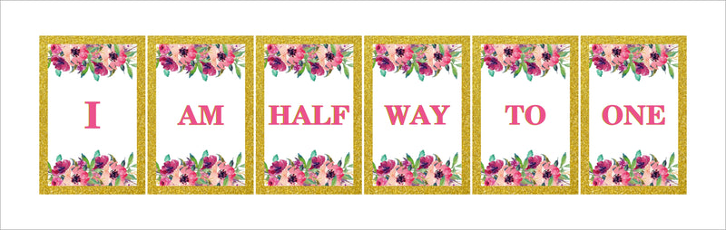 Half Birthday Girls Theme Birthday Party Banner for Decoration