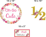 Half Birthday Girls Theme Hanging Set for Birthday Party Decoration