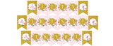 Ballerina Theme  Birthday Party Banner for Decoration