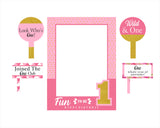 One Is Fun Birthday Party Selfie Photo Booth Frame & Props