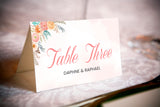 Boho Theme Wedding Table Numbers/ Table Placecards