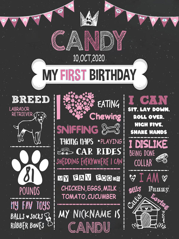 Dog Puppy Birthday Party Customized Milestone Poster / Sign Board
