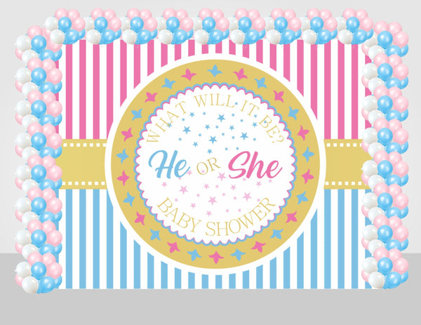 "Boy Or Girl" Baby Shower Party Decoration Kit With Backdrop.