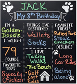 Dog/Puppy Birthday Party Customized Milestone Sign/Board