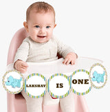 Dinosaur Party I Am One Banner Birthday Decoration