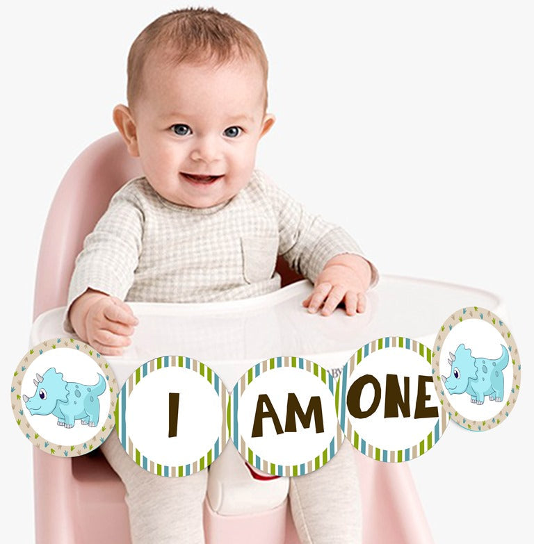 Dinosaur Party I Am One Banner Birthday Decoration