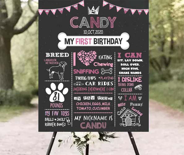 Dog Puppy Birthday Party Customized Milestone Poster / Sign Board